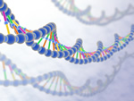 BIOELEMENTI