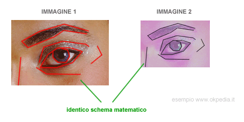 esempio di immagini uguali o simili con lo stesso schema vettoriale