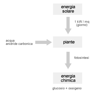 origine energia