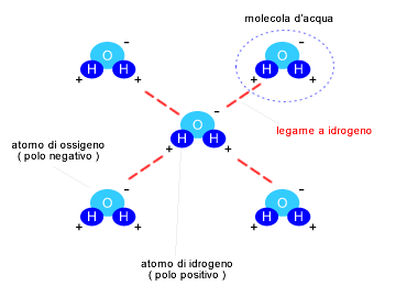 Legami a idrogeno - Okpedia