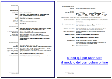 CURRICULUM VITAE ONLINE