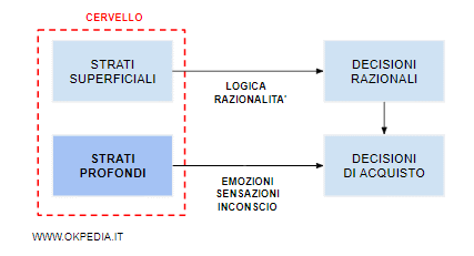 le decisioni di acquisto nascono nelle zone più profonde del cervello