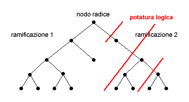 POTATURA LOGICA