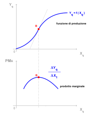 PRODUTTIVITA MARGINALE DEL FATTORE