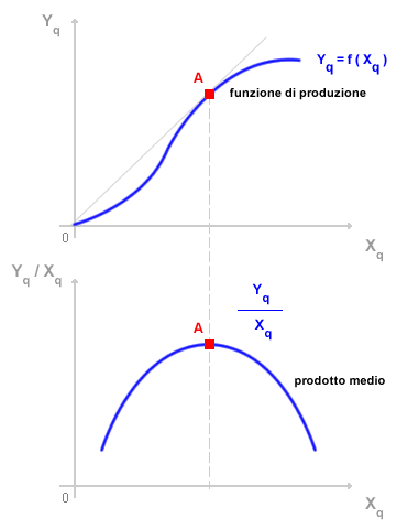 Prodotto »