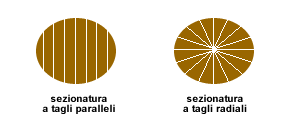 SEZIONATURA A TAGLIO TRADIZIONALE