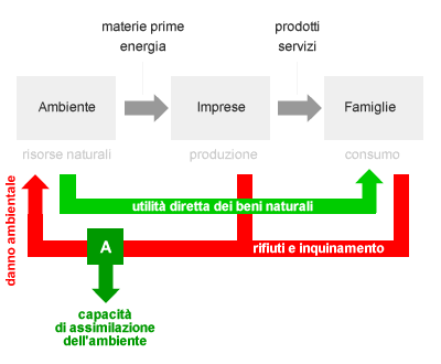 la capacità di assimilazione dell'ambiente