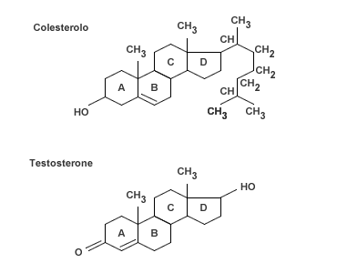 Non perdere mai più la tua terpenoidi e steroidi