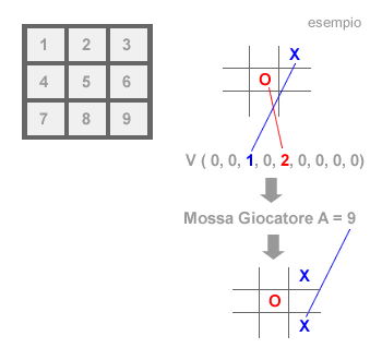 DATABASE MOSSE