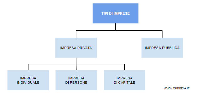 tipi di imprese ( schema )